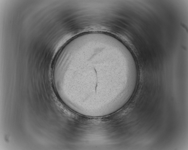 X0000099480990200806061241