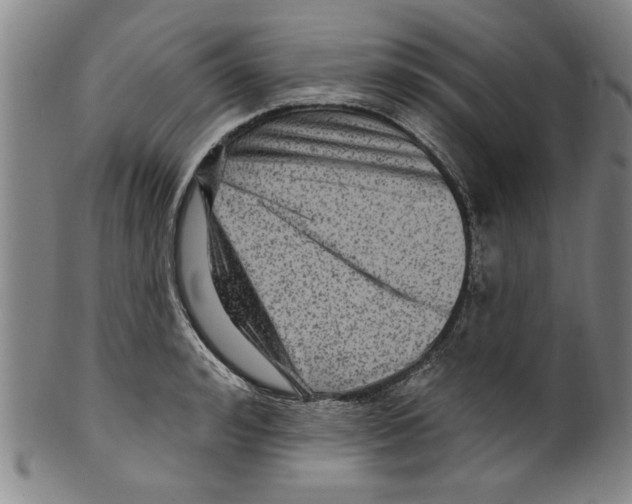 X0000099480992200806061241