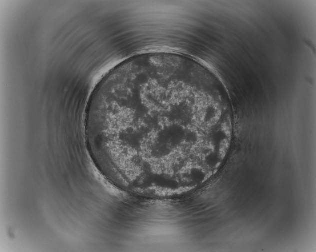 X0000099480995200806061241