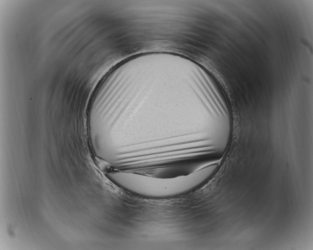X0000099480996200806061241