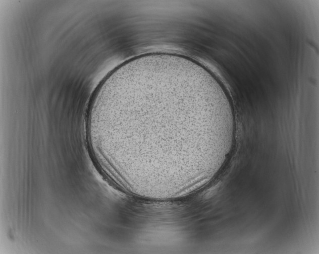 X0000099480999200806061241