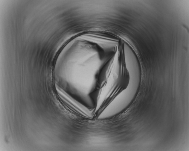 X0000099481000200806061241