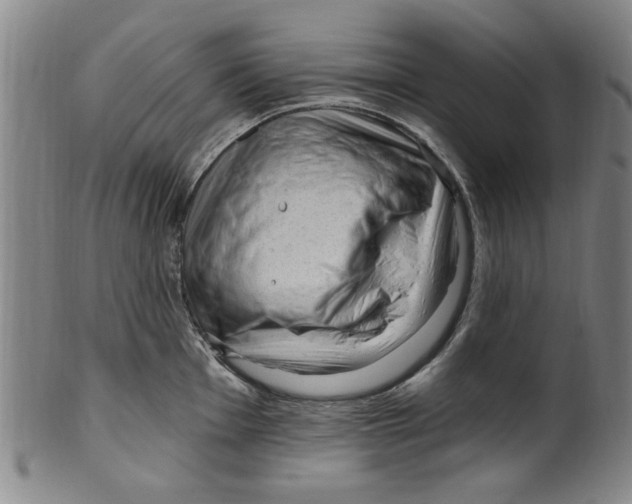 X0000099481001200806061241
