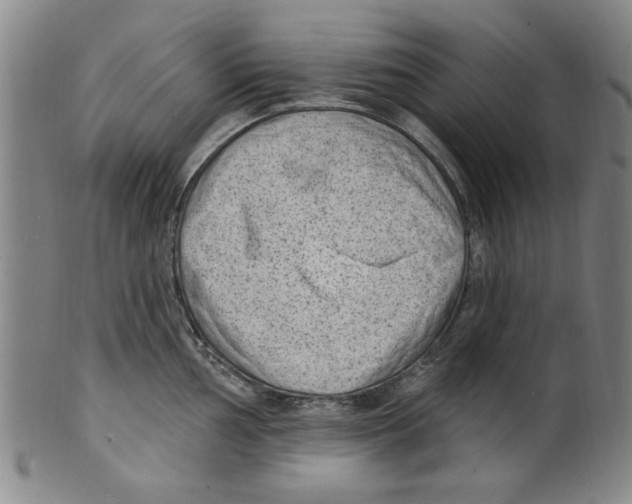 X0000099481002200806061241
