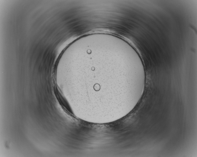 X0000099481003200806061241