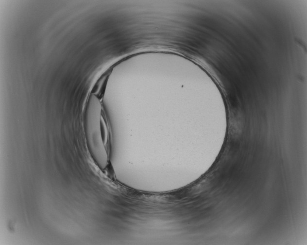 X0000099481004200806061240
