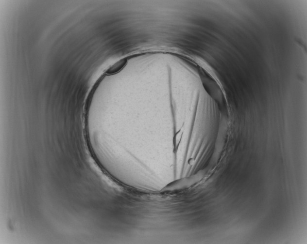 X0000099481005200806061240