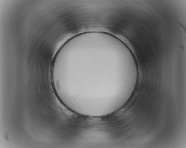 X0000099481006200806061240