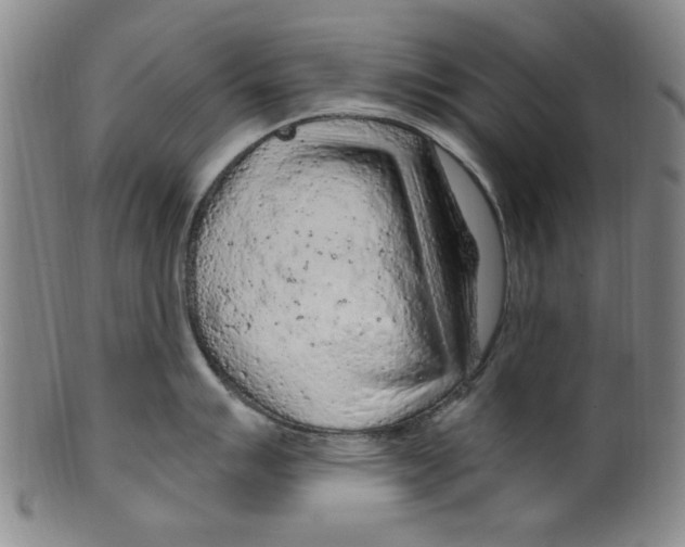 X0000099481007200806061240