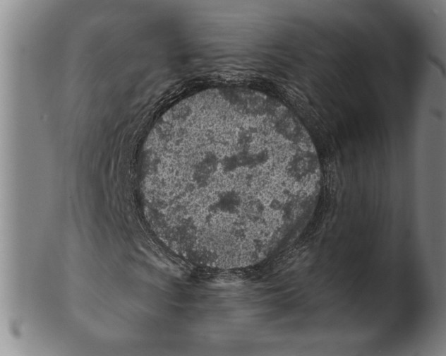X0000099481009200806061240