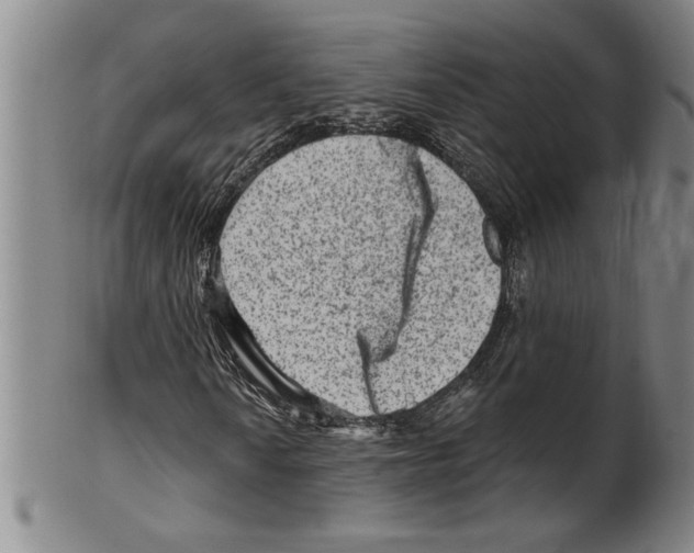 X0000099481010200806061240