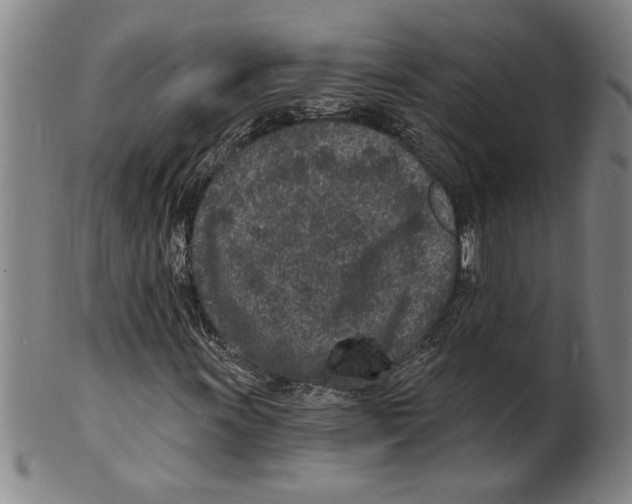 X0000099481011200806061240