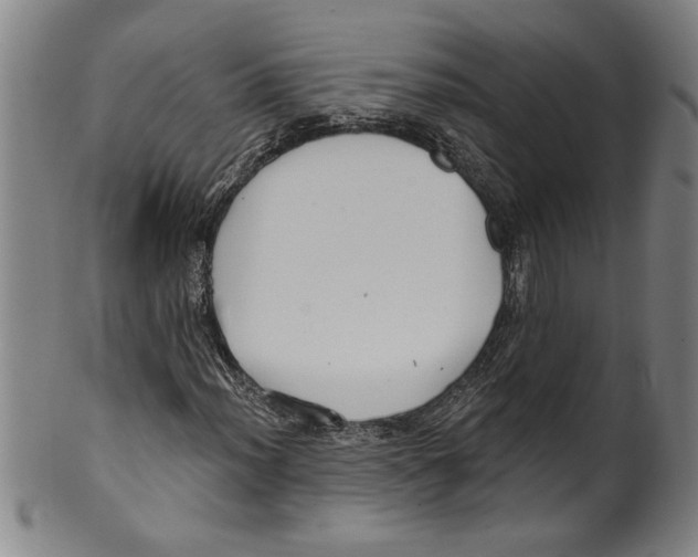 X0000099481012200806061240