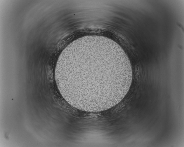 X0000099481013200806061240