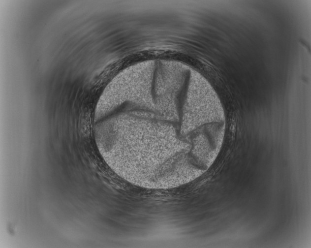 X0000099481014200806061240