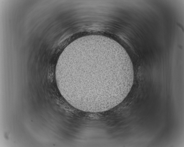 X0000099481015200806061240
