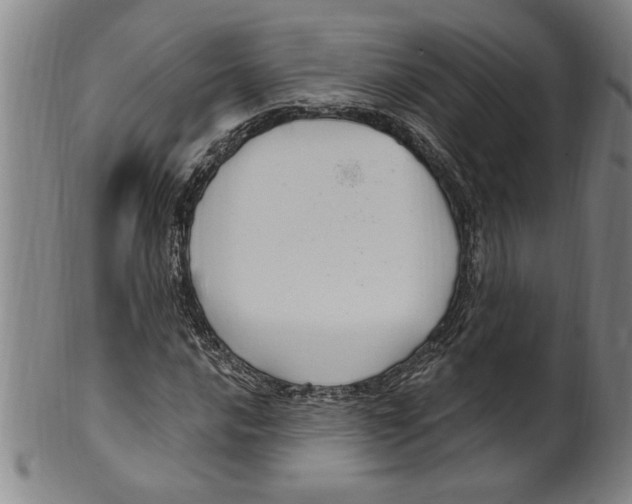 X0000099481016200806061240