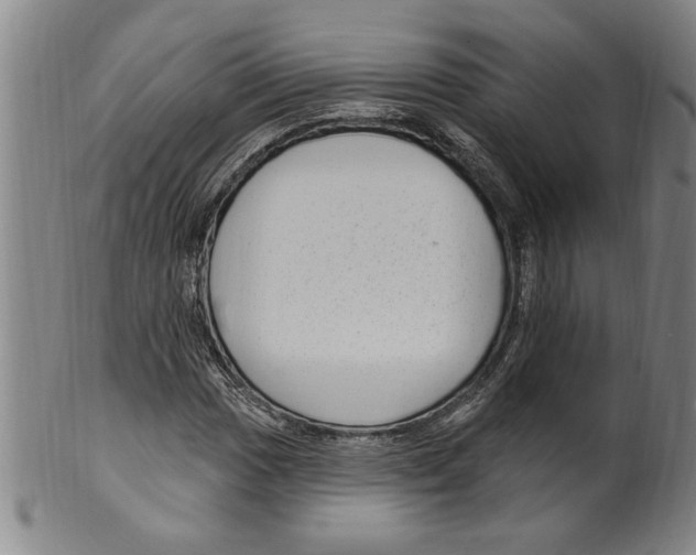 X0000099481017200806061240