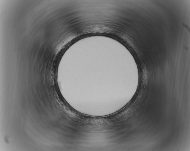 X0000099481018200806061240