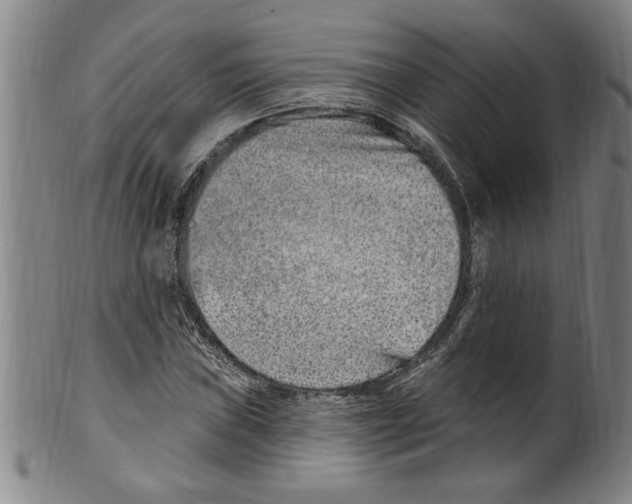 X0000099481019200806061240