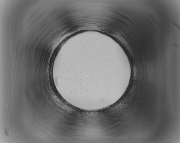 X0000099481020200806061240