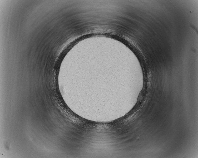 X0000099481021200806061240