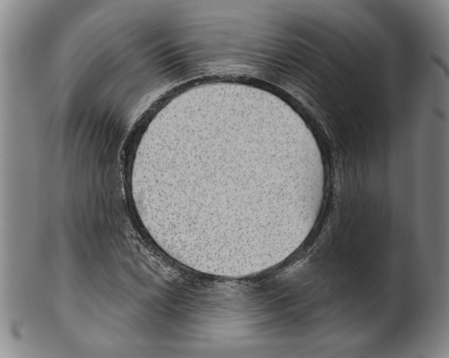 X0000099481022200806061240