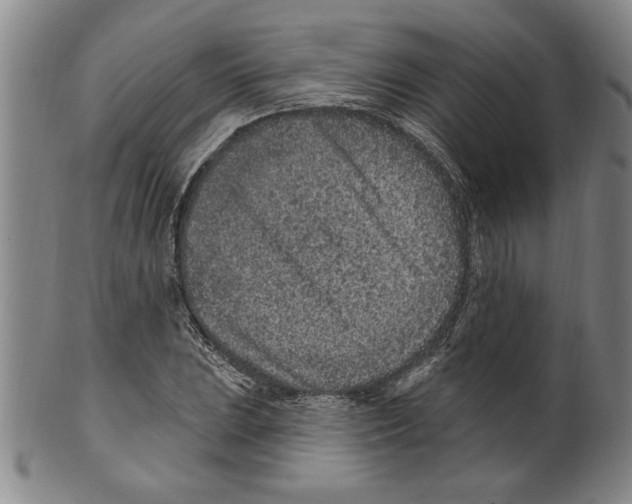 X0000099481023200806061240