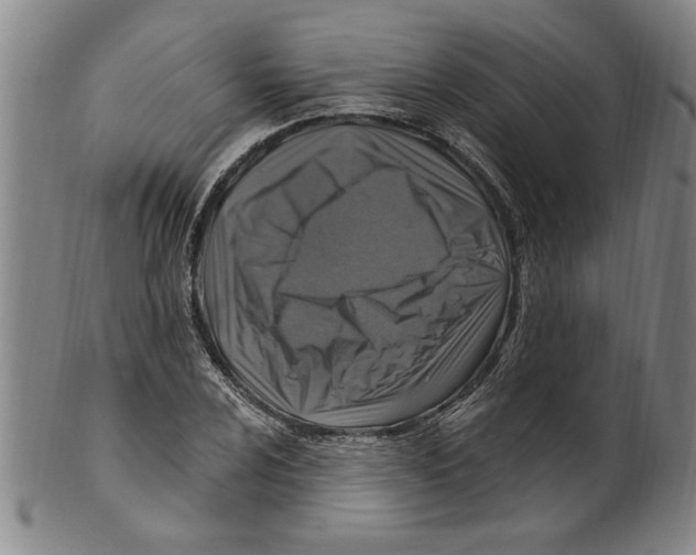 X0000099481024200806061240