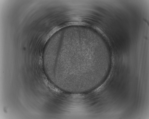 X0000099481025200806061240