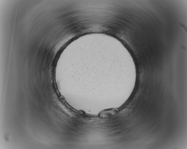 X0000099481026200806061240