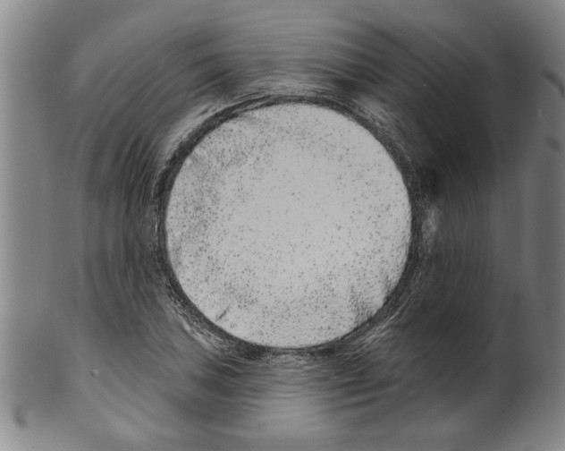X0000099481027200806061240
