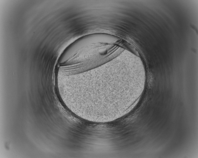 X0000099481028200806061240