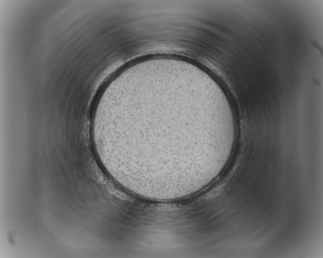 X0000099481029200806061240