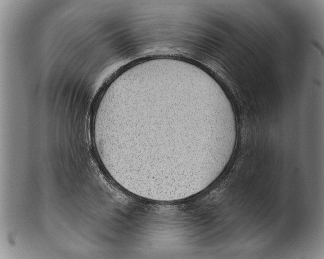 X0000099481030200806061240