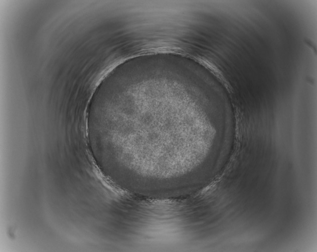 X0000099481031200806061240