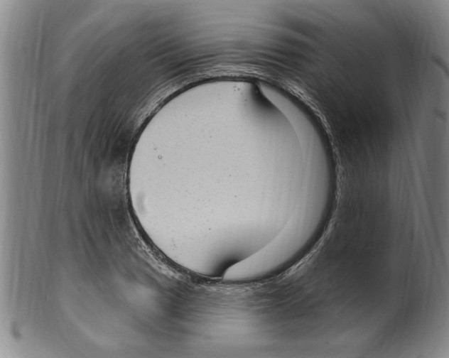 X0000099481033200806061240