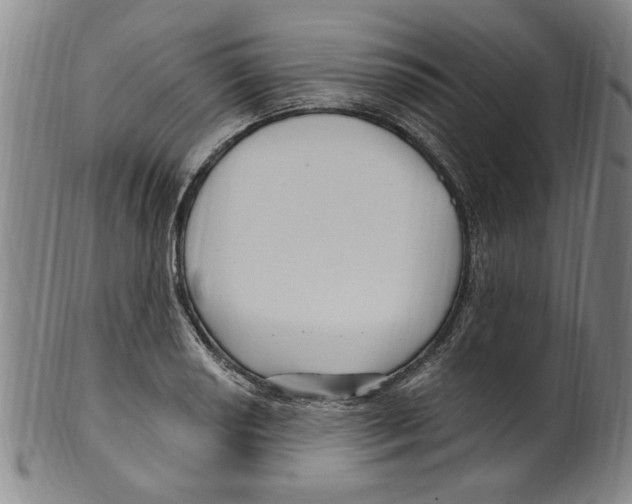 X0000099481034200806061240