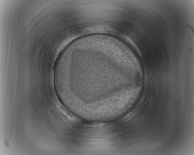X0000099481035200806061240