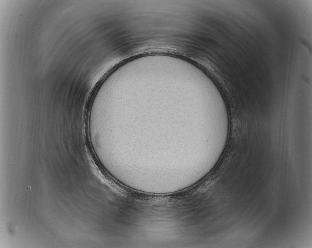 X0000099481038200806061240