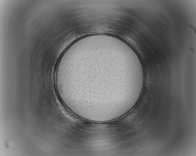 X0000099481039200806061240