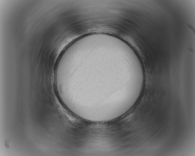 X0000099481040200806061240