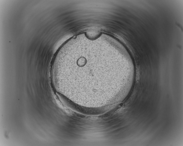 X0000099481042200806061240