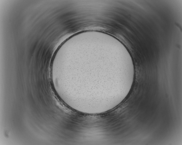 X0000099481044200806061240
