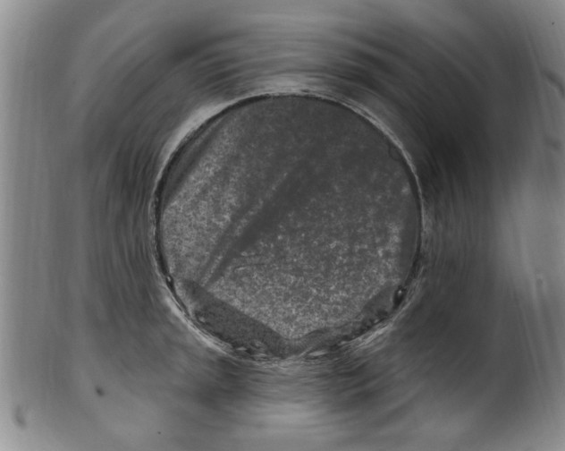 X0000099481045200806061240
