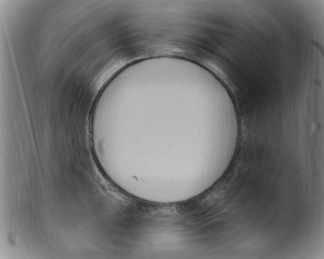 X0000099481047200806061240