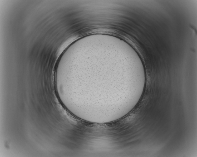 X0000099481050200806061240