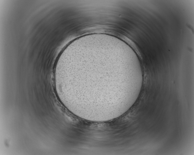 X0000099481051200806061240