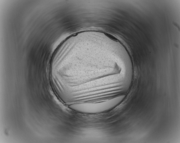X0000099481054200806061240