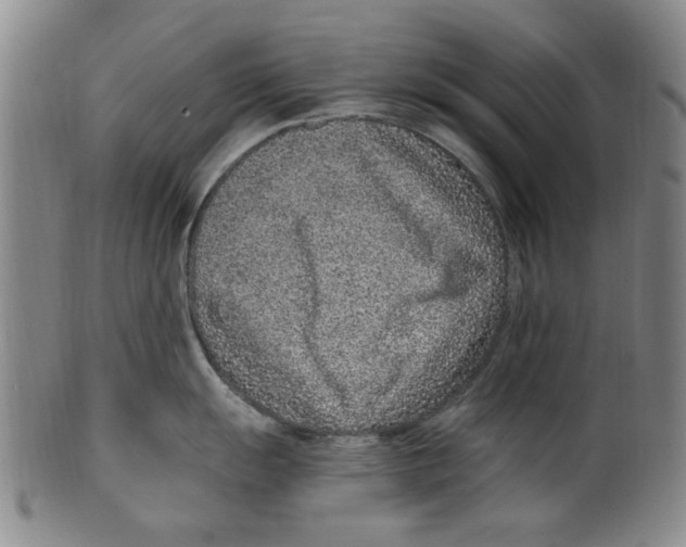 X0000099481055200806061240